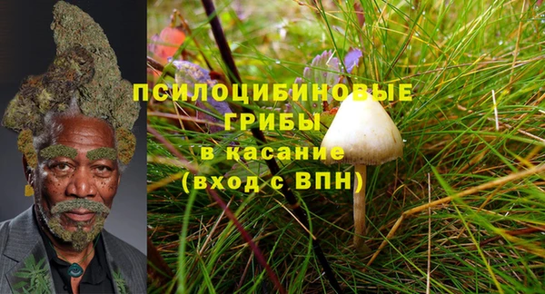 марки lsd Алексеевка