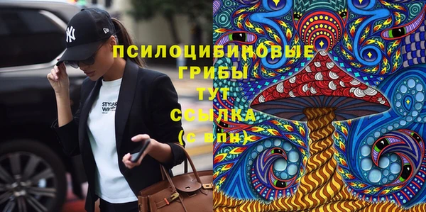 прущая мука Алзамай